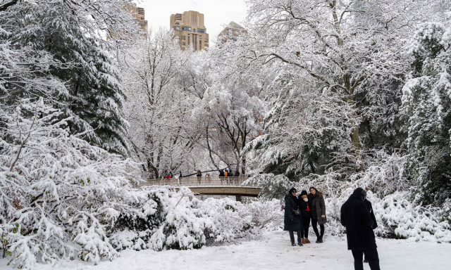 Νέα Υόρκη: Στα λευκά «ντύθηκε» το Central Park - Δείτε εντυπωσιακές εικόνες και βίντεο