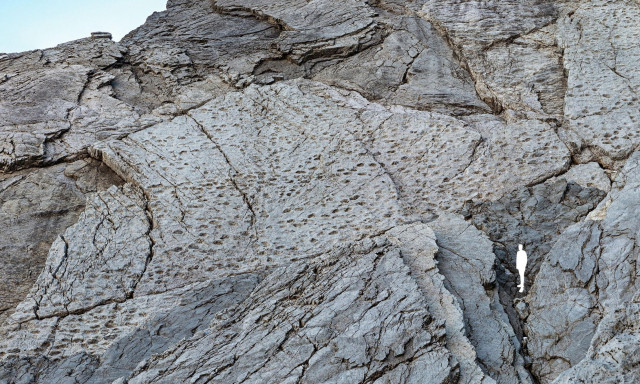 Ιταλία: Χιλιάδες αποτυπώματα δεινοσαύρων εντοπίστηκαν στις Άλπεις - Φωτογραφίες