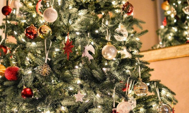 Ηράκλειο: Έκλεψαν χριστουγεννιάτικο δέντρο από Δημοτικό σχολείο