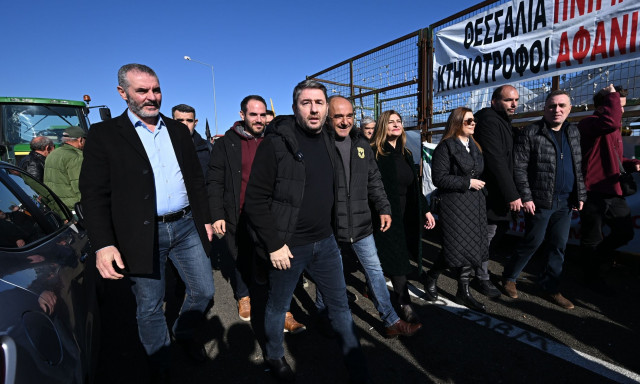 Σχέδιο Ανδρουλάκη για τους αγρότες: «Αν το παρουσιάζαμε σήμερα θα έκαναν Χριστούγεννα σπίτια τους»