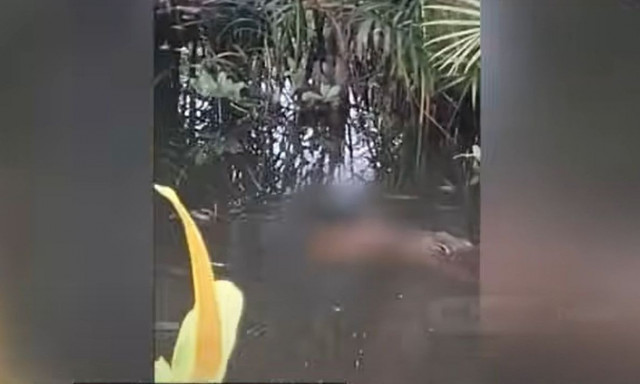 Ινδονησία: Κροκόδειλος κατασπάραξε 10χρονο αγόρι μπροστά στους φίλους του - Σκληρό βίντεο