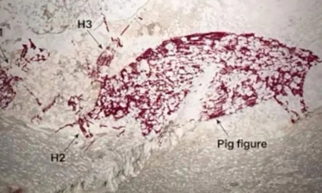 Το έργο τέχνης 51.200 ετών που αλλάζει όσα ξέραμε για την ανθρωπότητα