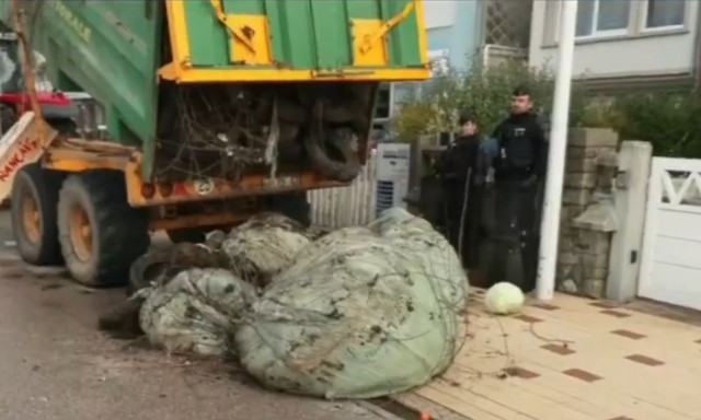 Μπλόκα αγροτών αλά... γαλλικά: Κοπριά και λάχανα έξω από το σπίτι του Μακρόν - Βίντεο