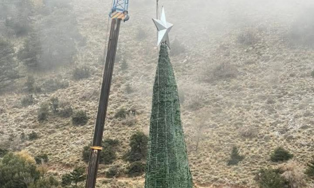 Φωταγωγείται στα Χανιά το μεγαλύτερο χριστουγεννιάτικο δέντρο της Ευρώπης