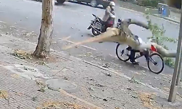 Κίνα: Κλαδί έσπασε λόγω ισχυρών ανέμων και έπεσε πάνω σε ποδηλάτη - Δείτε βίντεο