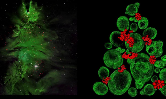 Επιστημονικό πρότζεκτ αποκαλύπτει τις ομοιότητες ανάμεσα στο απέραντο και το απειροελάχιστο