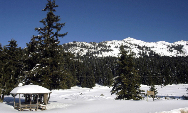 Μείωση άνω του 50% στις κρατήσεις σε Περτούλι, Μετέωρα και Καρπενήσι λόγω των αγροτικών μπλόκων