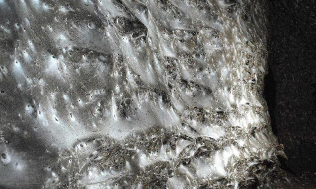 Έκταση 106 τ.μ. κάτω από Ελλάδα και Αλβανία – Φιλοξενεί πάνω από 100.000 «κατοίκους»