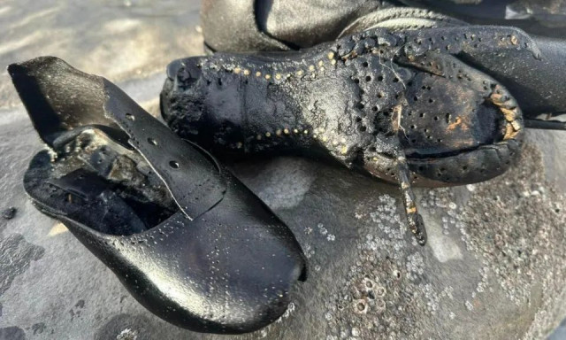 Ουαλία: Εκατοντάδες βικτωριανά παπούτσια ξεβράστηκαν σε παραλία - Δείτε φωτογραφίες