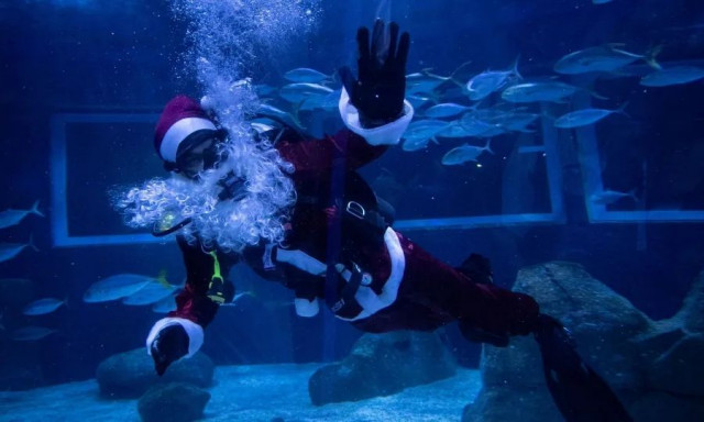 Χριστούγεννα στον βυθό: Από τη Βραζιλία μέχρι την Κύπρο οι Άγιοι Βασίληδες φόρεσαν... βατραχοπέδιλα