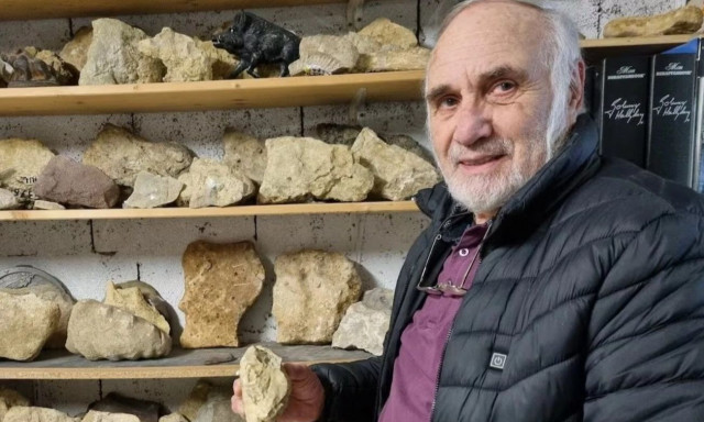 Άντρας συλλέγει 6.000 πέτρες σε σχήμα αγριογούρουνου: Ποια είναι η θεωρία του