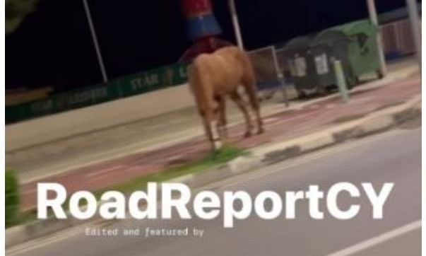 Κύπρος: Άλογο κυκλοφορούσε ελεύθερο στους δρόμους του Πρωταρά - Βίντεο