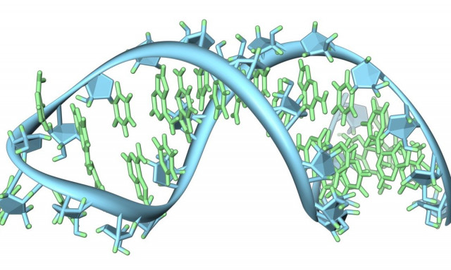 Επιστήμονες ανακαλύπτουν νέες μορφές ζωής μέσα στο ανθρώπινο σώμα