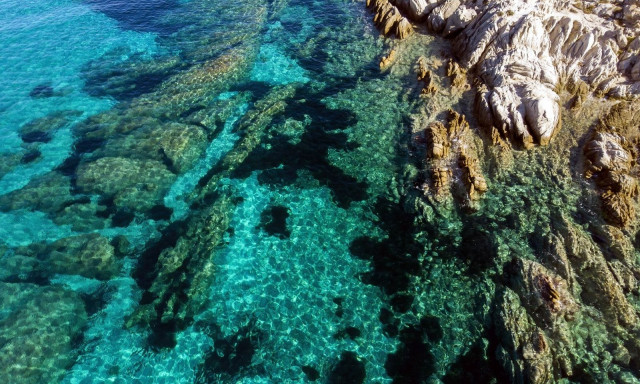 Θαλάσσια πάρκα: Εγκρίθηκαν και δημοσιεύονται οι μελέτες για Ιόνιο και Νότιο Αιγαίο