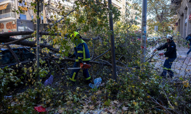 Πάνω από 700 κλήσεις στην Πυροσβεστική λόγω ισχυρών ανέμων – Ριπές άνω των 100 km/h στη Θεσσαλονίκη