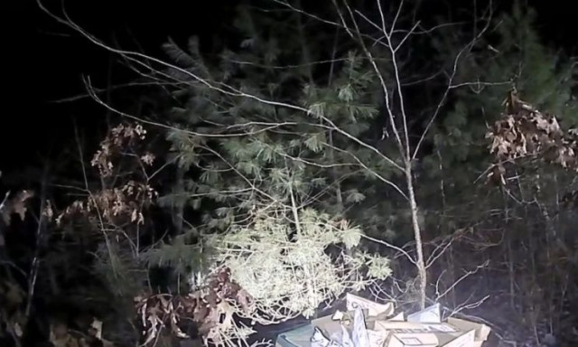 Δεκάδες δέματα με Χριστουγεννιάτικα δώρα βρέθηκαν πεταμένα σε δάσος