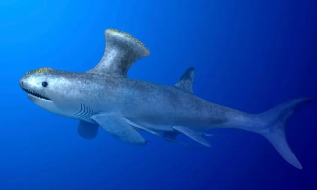 Ο προϊστορικός καρχαρίας που βρέθηκε σε μια προαστιακή πόλη της Σκωτίας