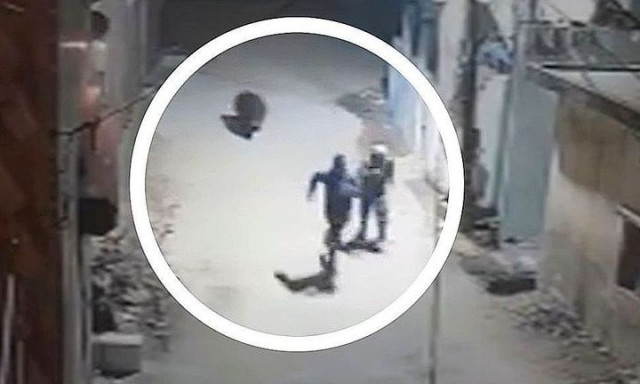 Ινδία: Πήγαιναν να γιορτάσουν την αλλαγή του χρόνου αλλά τους... πρόλαβε η αρκούδα