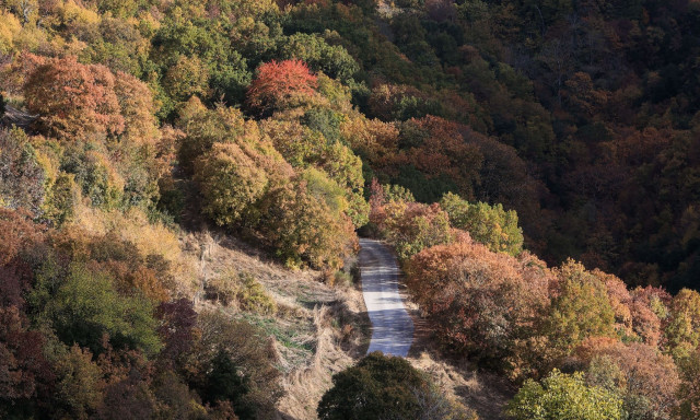 Αυτό είναι το αμφιθεατρικό χωριό της Λάρισας που αποτελεί ένα μωσαϊκό ανθρώπων