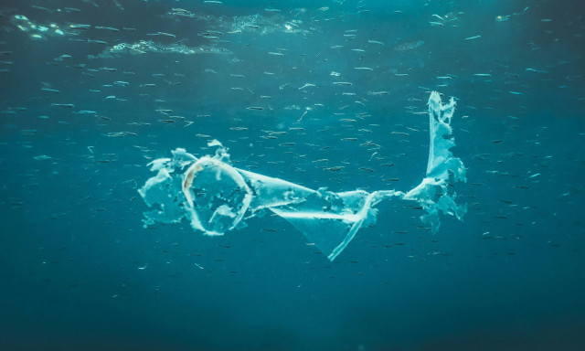 Τρώμε τα σκουπίδια μας; Πώς τα πλαστικά της μίας χρήσης καταλήγουν στη θάλασσα και στο πιάτο μας