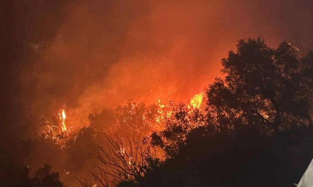 Κρήτη: Μεγάλη φωτιά στην Κίσσαμο - Πνέουν ισχυροί άνεμοι στην περιοχή