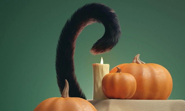 Αυτός είναι ο λόγος που οι άνθρωποι δεν έχουν πια... ουρά