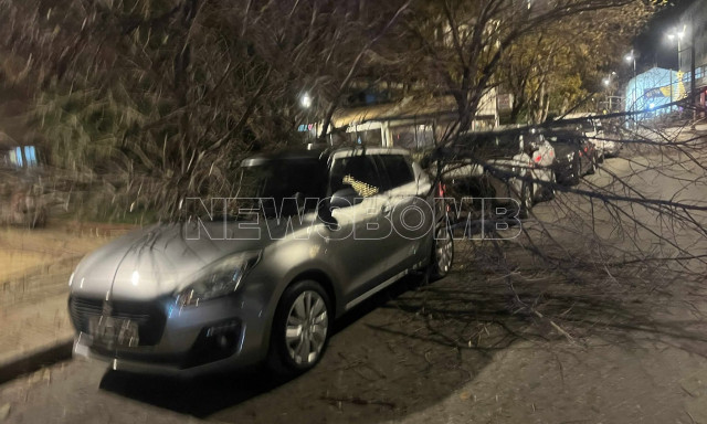 Πτώσεις δέντρων σε Πλατεία Αττικής και Νέα Μάκρη λόγω των ισχυρών ανέμων – Κατέληξαν σε αυτοκίνητα