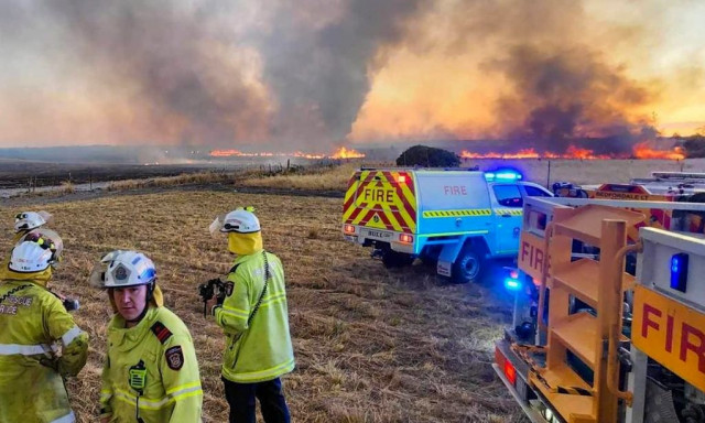 «Καμίνι» η Αυστραλία: Πυρκαγιές, μπλακ άουτ και κλειστά σχολεία λόγω καύσωνα