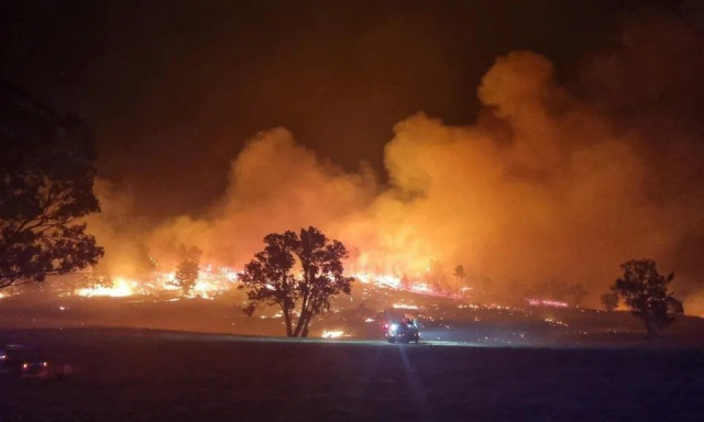 Καταστροφικές πυρκαγιές στην Αυστραλία: Δεκάδες χιλιάδες στρέμματα δάσους έγιναν στάχτη - Βίντεο