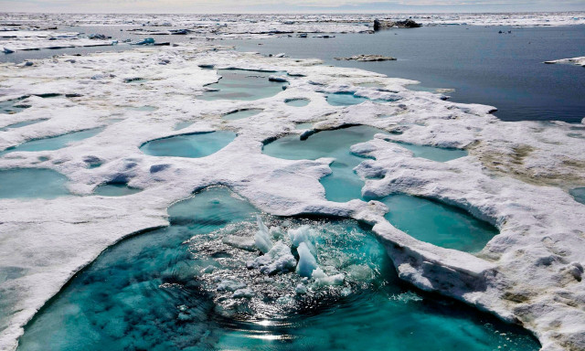 Μία όαση κάτω από τον Αρκτικό Ωκεανό - Η απροσδόκητη επιστημονική ανακάλυψη