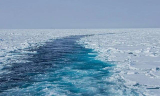 Οι επιστήμονες έμειναν άναυδοι από την όαση που βρέθηκε 2,5 μίλια κάτω από τον Αρκτικό Ωκεανό