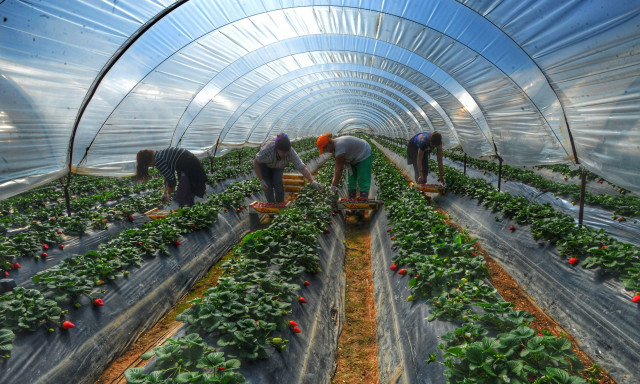 Συμφωνία Ε.Ε. - Mercosur: Πράσινο φως στις εξαγωγές - Τα προϊόντα που «ταξιδεύουν» χωρίς δασμούς