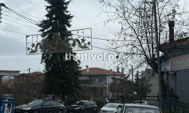 Τα πρώτα χιόνια έπεσαν στη Θεσσαλονίκη: Νιφάδες σε Ασβεστοχώρι και Χορτιάτη - Βίντεο