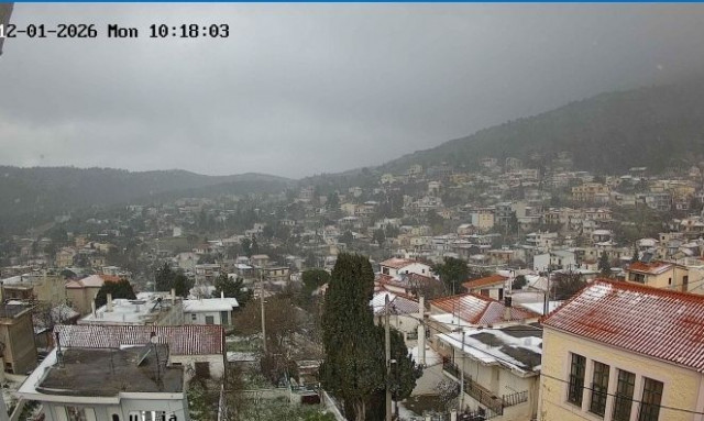 «Άσπρη μέρα» και στην Αττική: Χιόνια σε Βίλια και Πάρνηθα - Φωτογραφίες