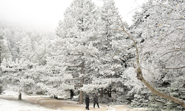 Χιόνια: Έπεσαν τα πρώτα στην Αττική - Στα «λευκά» η Πάρνηθα