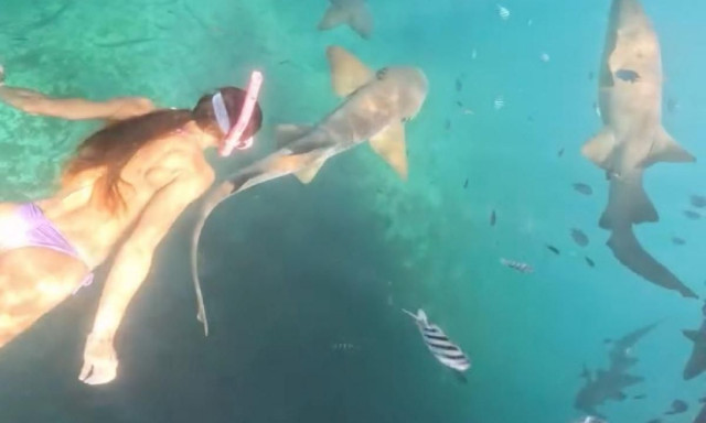 Η στιγμή που καρχαρίας επιτίθεται σε γυναίκα ενώ έκανε snorkeling (video)