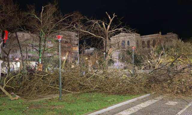 Δήμος Αλεξανδρούπολης: Κηρύχθηκε σε κατάσταση έκτακτης ανάγκης λόγω του καταστροφικού τυφώνα