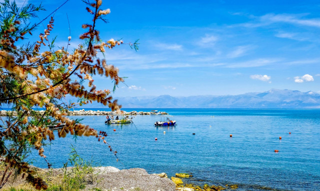 Καιρός: Θερμότερος από τα κανονικά επίπεδα ο ερχόμενος Φεβρουάριος - Η πρόγνωση meteo