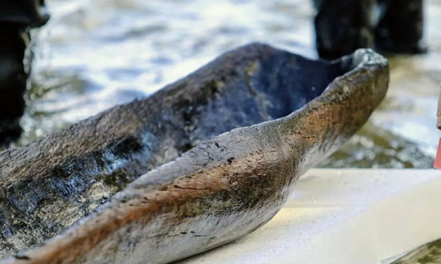 Αρχαία κανό στις ΗΠΑ αποκαλύπτουν πολιτισμό σύγχρονο με την Αίγυπτο