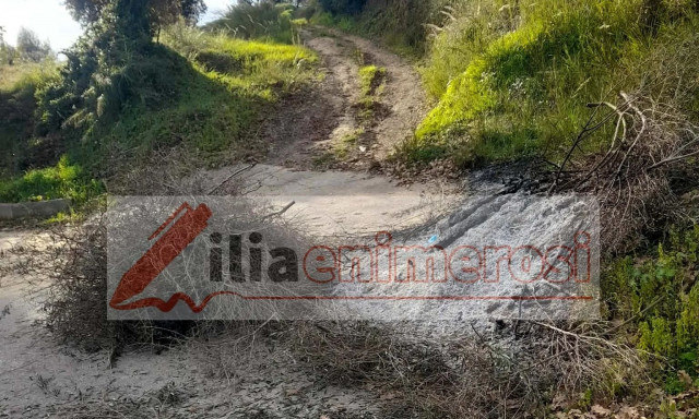 Πύργος: Άφησε την τελευταία του πνοή καίγοντας κλαριά