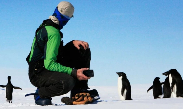 Τι συμβαίνει αν γεννηθείς στην Ανταρκτική -  Ποια υπηκοότητα παίρνεις