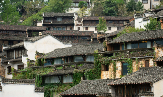 Κινέζα ζήτησε βοήθεια στον υπέργηρο πατέρα της για να σφάξει 2 γουρούνια και προσέτρεξαν χιλιάδες