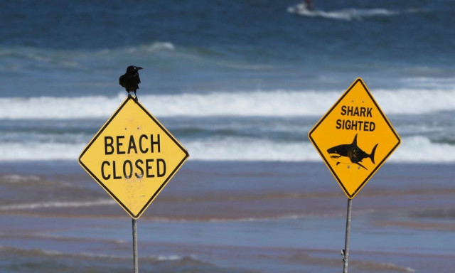 Αυστραλία: Τρεις επιθέσεις καρχαριών στο Σίδνεϊ σε 2 ημέρες με δύο τραυματίες