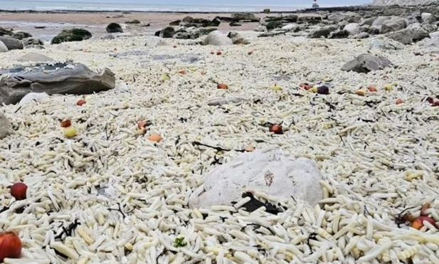 Bρετανία: Χιλιάδες τηγανητές πατάτες ξεβράστηκαν σε παραλία - Το ασυνήθιστο θέαμα