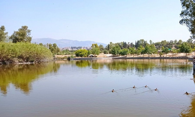 Πάρκο Τρίτση: Από την εγκατάλειψη και τη γραφειοκρατία στην ελπίδα αναγέννησης