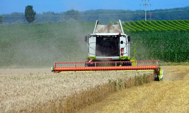Μαγνησία: Πώς ένα αλώνισμα ξετύλιξε υπόθεση πλαστογραφίας με περιουσία 51χρονης που πέθανε το 2020