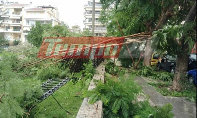 Κακοκαιρία: Δέντρο ξεριζώθηκε και έπεσε πάνω σε Ι.Χ στην Πάτρα
