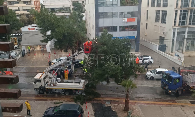 Έπεσε δέντρο στη Βούλα λόγω της ισχυρής νεροποντής - Αποκλεισμένη η οδός Βασιλέως Παύλου