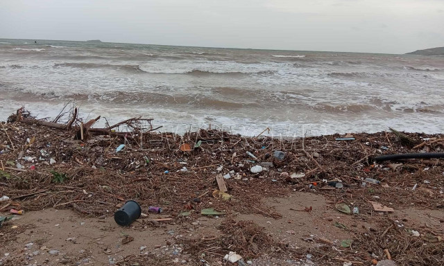 Κακοκαιρία στην Αττική: Πτώσεις δέντρων στην παραλία της Βάρκιζας - Γέμισε σκουπίδια η ακτή