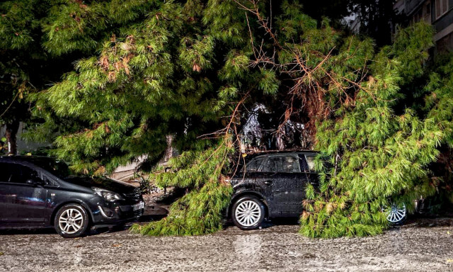 Κακοκαιρία: Δέντρο καταπλάκωσε αυτοκίνητα στον Νέο Κόσμο